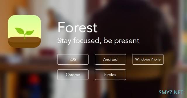 专注效率，别碰手机 以及 如何种出一片森林