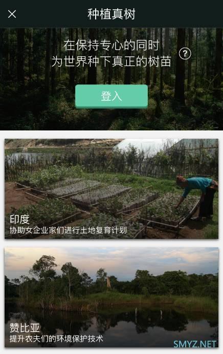 专注效率，别碰手机 以及 如何种出一片森林