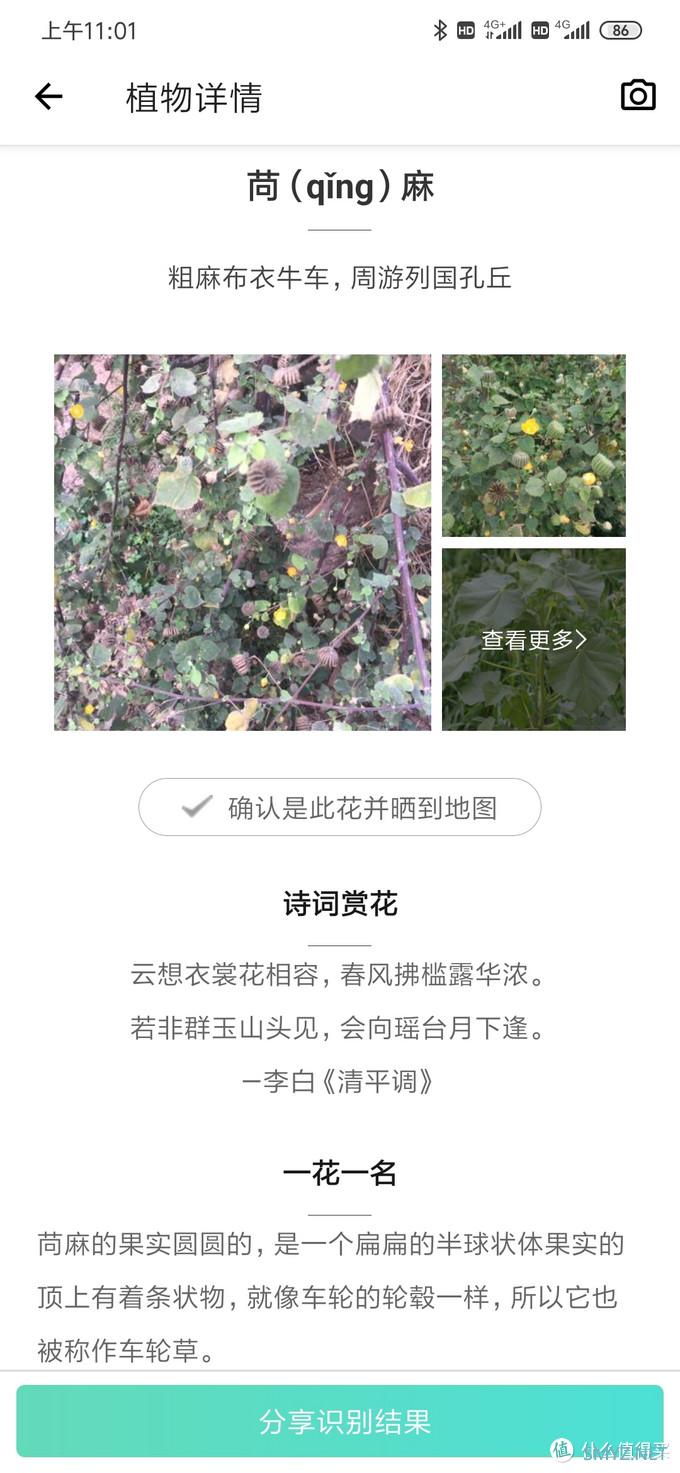 乌合之众 篇三：100块的无人机飞丢以后（看路边荒野地的花花草草）我是如何找不回来的？