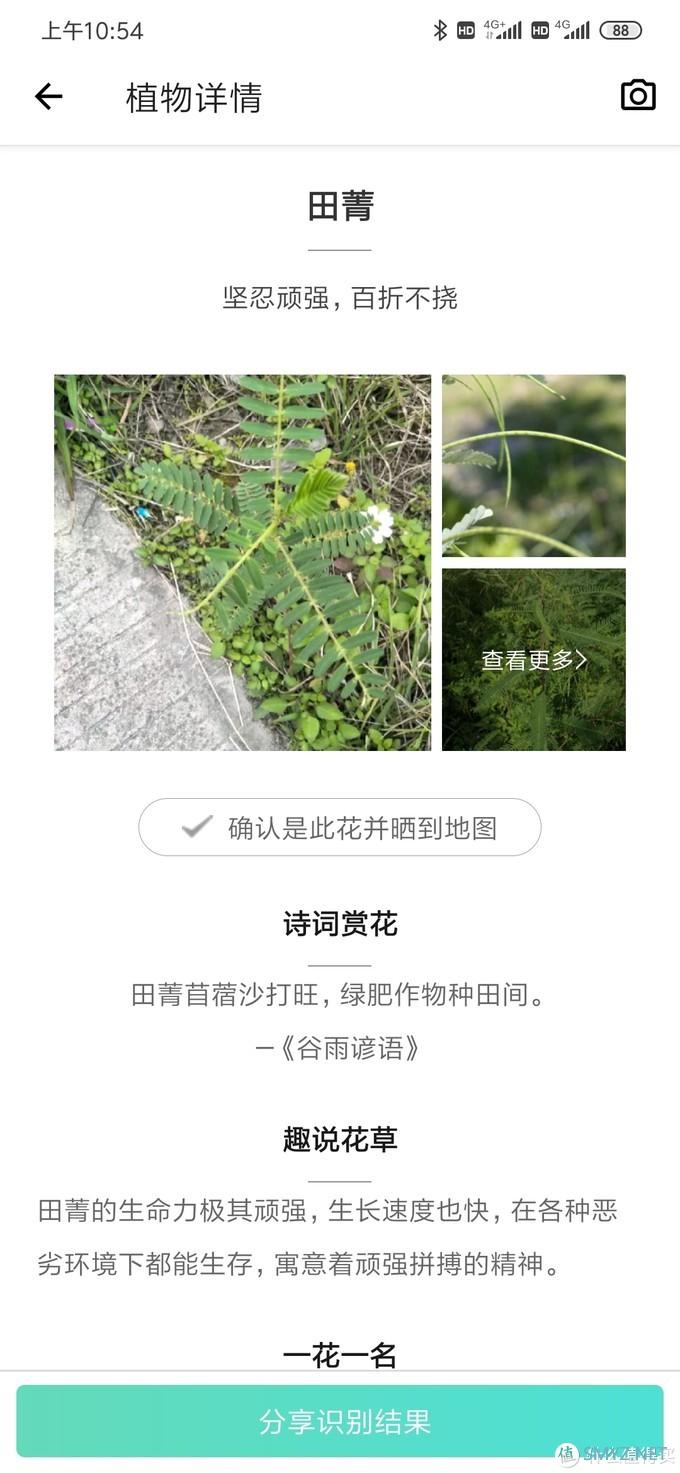 乌合之众 篇三：100块的无人机飞丢以后（看路边荒野地的花花草草）我是如何找不回来的？