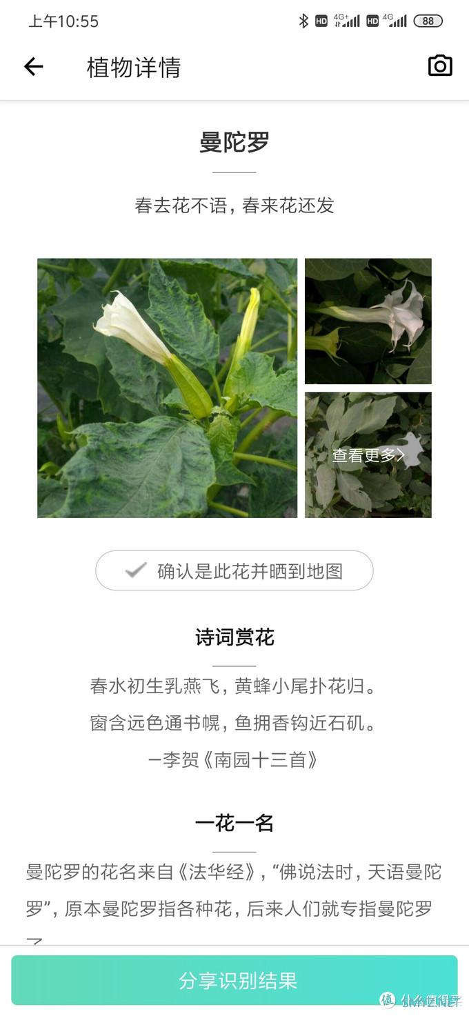 乌合之众 篇三：100块的无人机飞丢以后（看路边荒野地的花花草草）我是如何找不回来的？