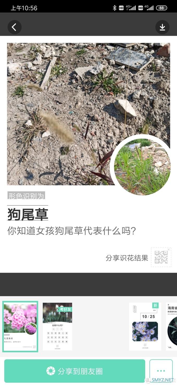 乌合之众 篇三：100块的无人机飞丢以后（看路边荒野地的花花草草）我是如何找不回来的？