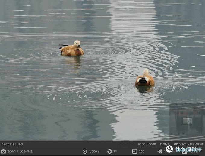 从零开始学摄影 篇十二：定焦or变焦、蔡司or G大师？SONY FE 24-105 F4 全画幅镜头使用感受