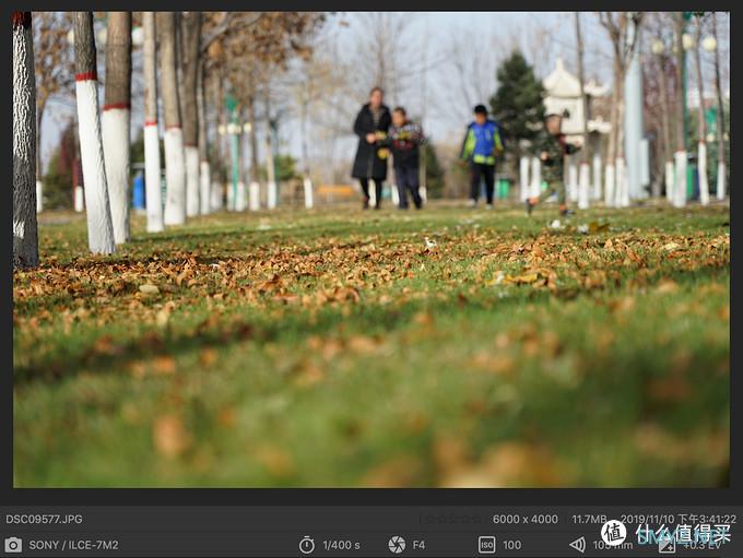 从零开始学摄影 篇十二：定焦or变焦、蔡司or G大师？SONY FE 24-105 F4 全画幅镜头使用感受