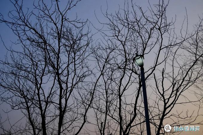 十年之后,富士X100系列也推出了第五代—X100V 十年之后,富士X100系列也推出了第五代—X100V