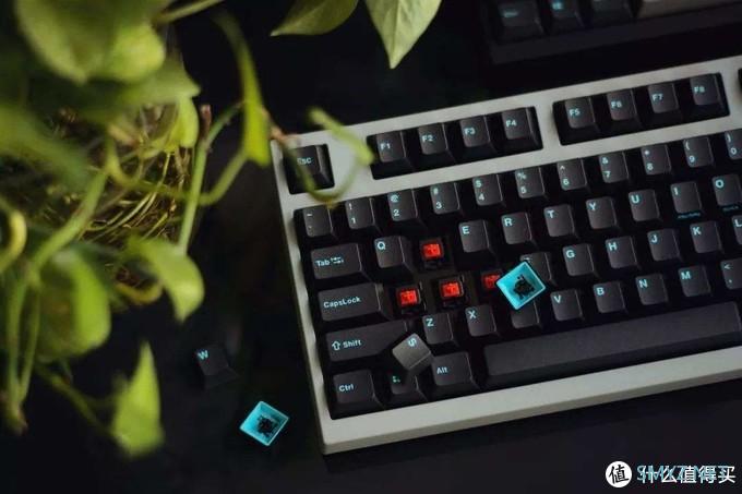 键盘DIY 篇三:入手15把键盘之后,写写我对机械键盘的理解 键盘DIY 篇三:入手15把键盘之后,写写我对机械键盘的理解