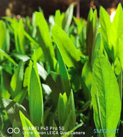 华为P40 Pro拍照性能介绍