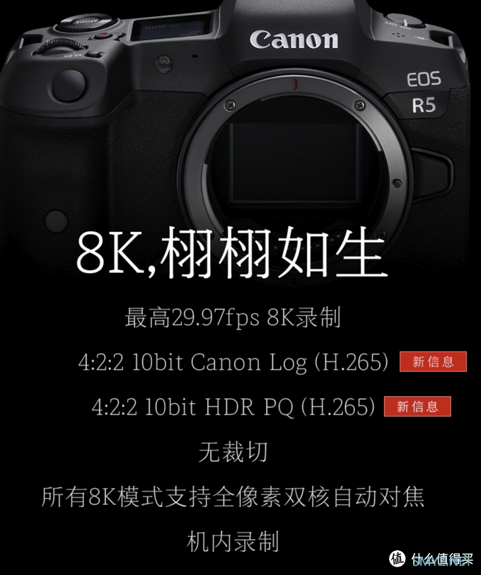 连续暴击这谁受得了？佳能EOS R5新参数向李安致敬