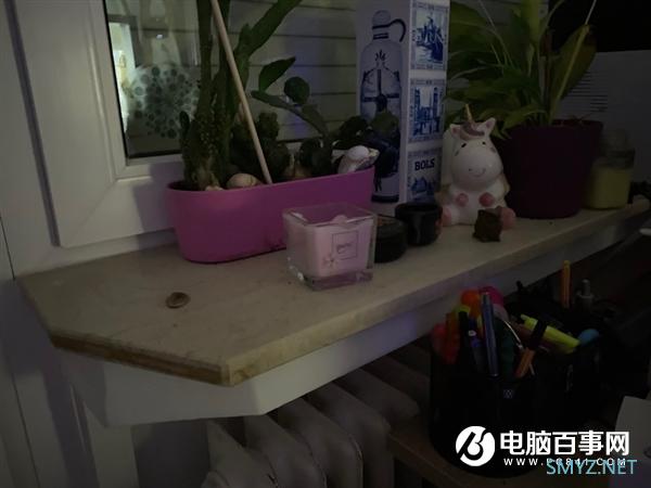 苹果最强单摄啥水平？新iPhone SE暗光实拍对比iPhone 11 Pro