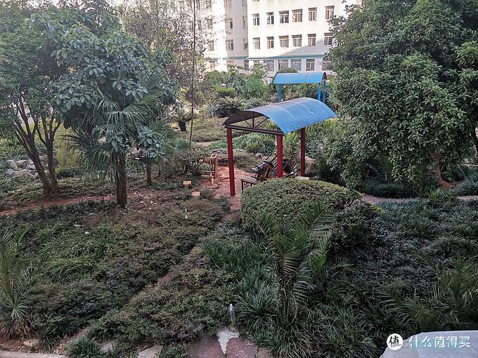 母亲节礼物 华为nova 5z晒单 母亲节礼物 华为nova 5z晒单