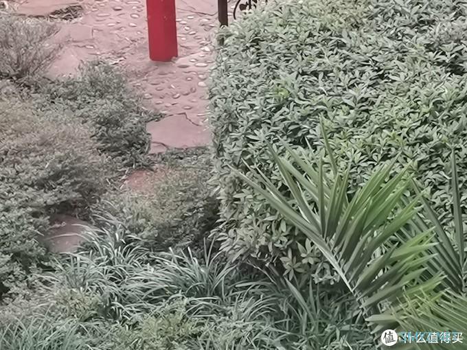 母亲节礼物 华为nova 5z晒单 母亲节礼物 华为nova 5z晒单