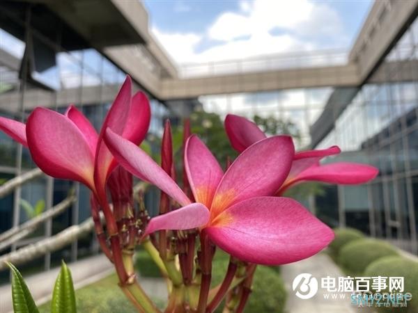 魅族17 Pro上手：90Hz+陶瓷机身 独占“唯一”的5G梦想旗舰