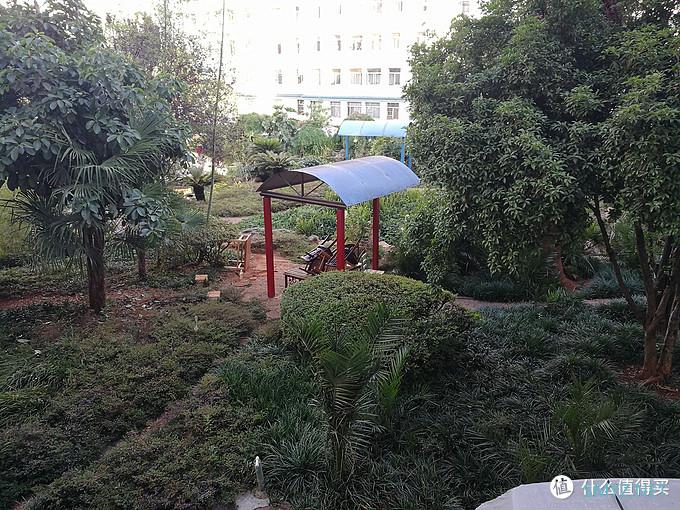母亲节礼物 华为nova 5z晒单 母亲节礼物 华为nova 5z晒单