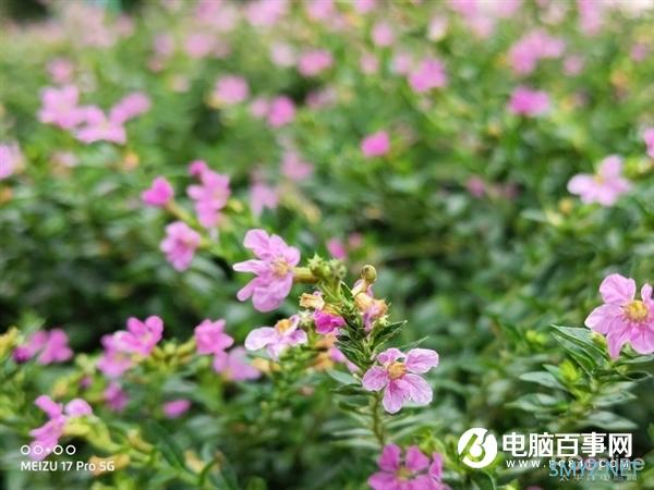 魅族17 Pro上手：90Hz+陶瓷机身 独占“唯一”的5G梦想旗舰