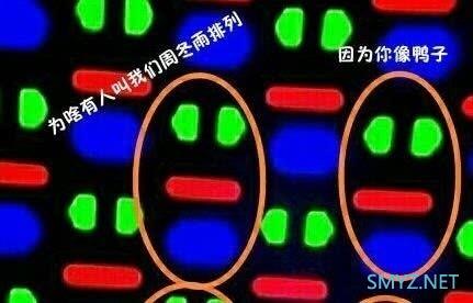 什么是“周冬雨”排列？三星S20系列表示没见过