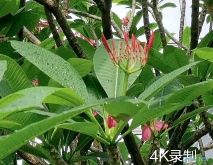 荣耀X10产品视频体验介绍