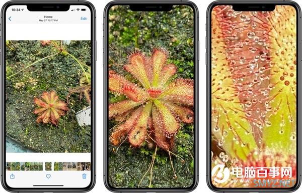 iOS 14照片放大倍数显著增加：对比iOS 13提升明显