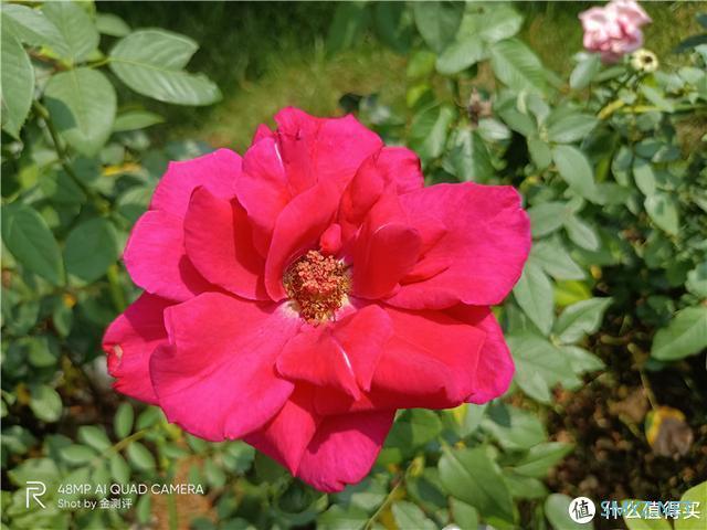 5000mAh大电池，7天使用体验，realme 真我V5是否值得购买