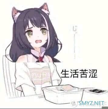 【极硬件六册】垃圾佬人手一张的RC10 500GB评测，当大厂和你性价不讲道理