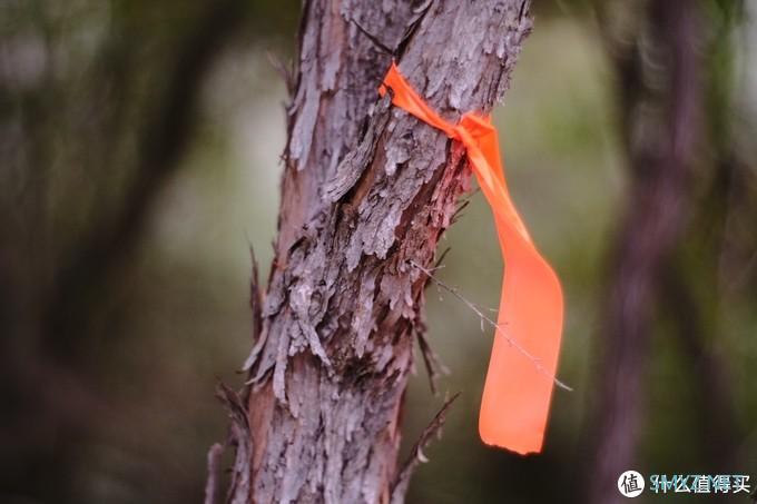 螺纹掠影（11）：Auto-Takumar 55mm F2.2