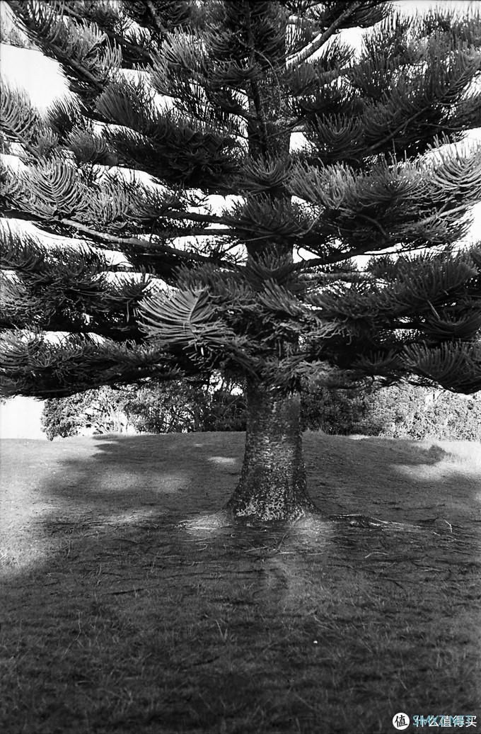 螺纹掠影（11）：Auto-Takumar 55mm F2.2