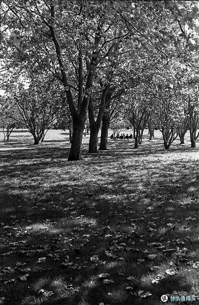 螺纹掠影（11）：Auto-Takumar 55mm F2.2