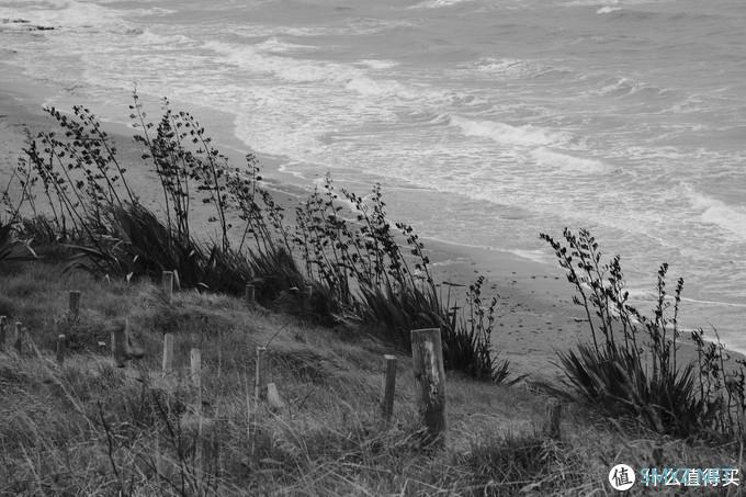 螺纹掠影（11）：Auto-Takumar 55mm F2.2