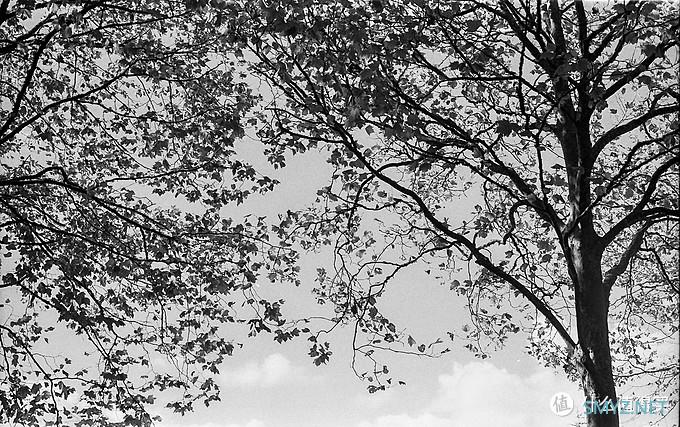 螺纹掠影（11）：Auto-Takumar 55mm F2.2