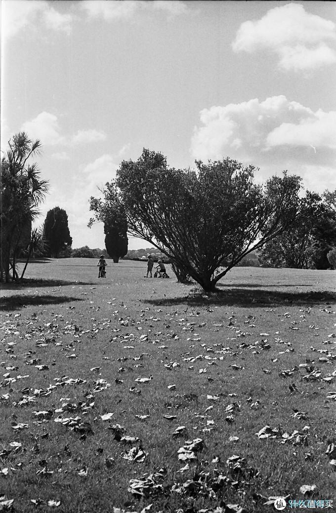 螺纹掠影（11）：Auto-Takumar 55mm F2.2