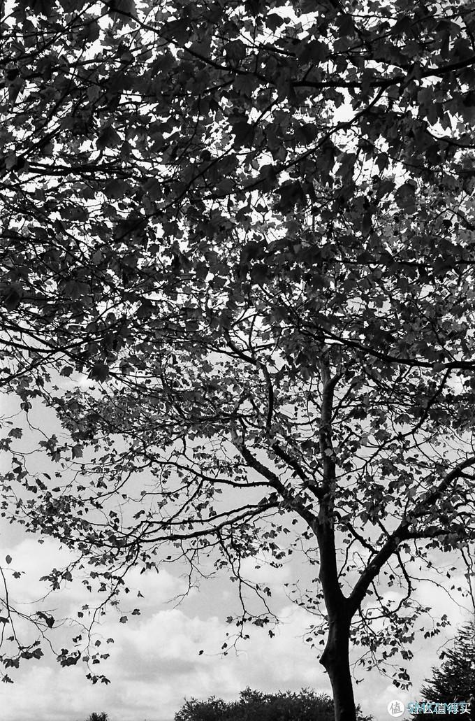 螺纹掠影（11）：Auto-Takumar 55mm F2.2