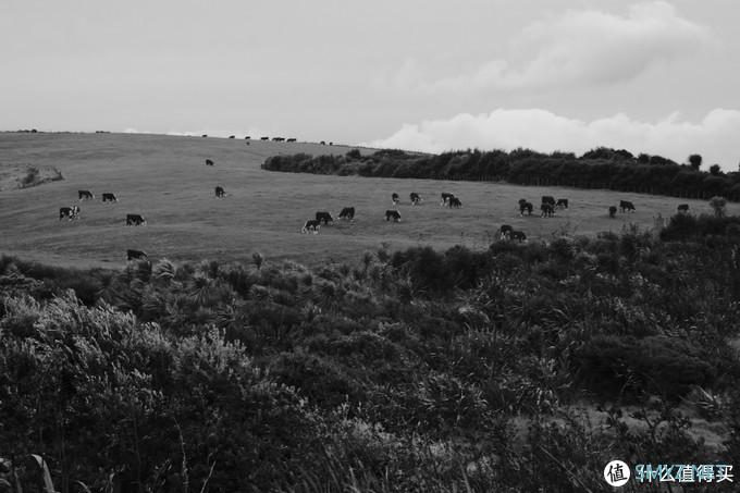 螺纹掠影（11）：Auto-Takumar 55mm F2.2
