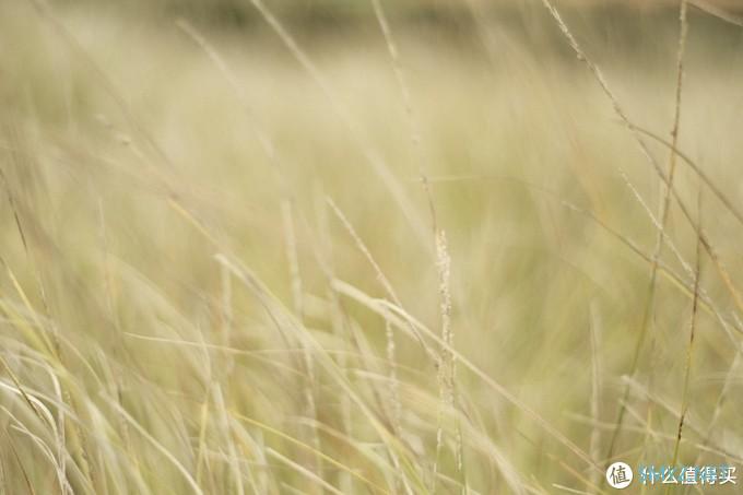 螺纹掠影（11）：Auto-Takumar 55mm F2.2