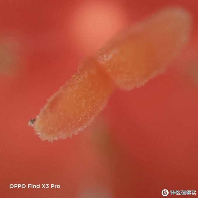 OPPO Find X3 Pro评测：直面争议，和藏在色彩里的秘密