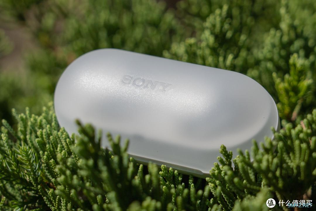 高颜值入门无线耳机－Sony WF-C500