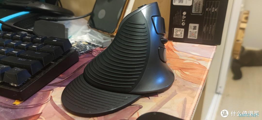 垃圾佬的垃圾日常 篇十七：最近经手的奇奇怪怪的鼠标们，海外版罗技G102还有sanwa人体工程学鼠标