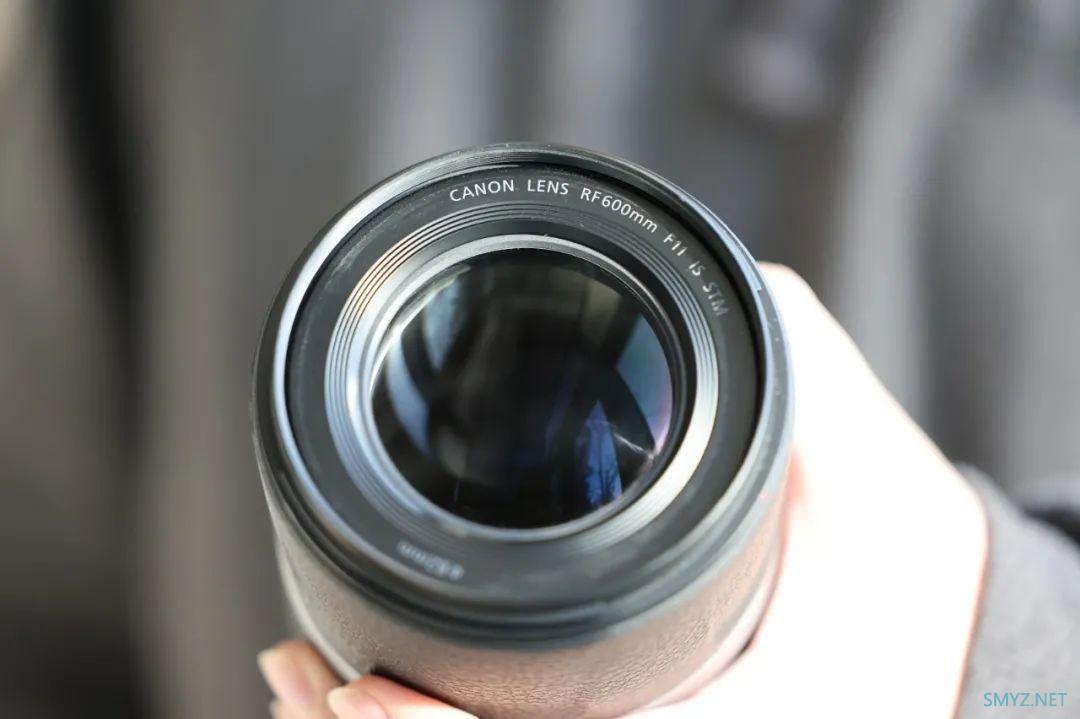 出乎意料的轻巧 初体验佳能RF600mm F11 IS STM