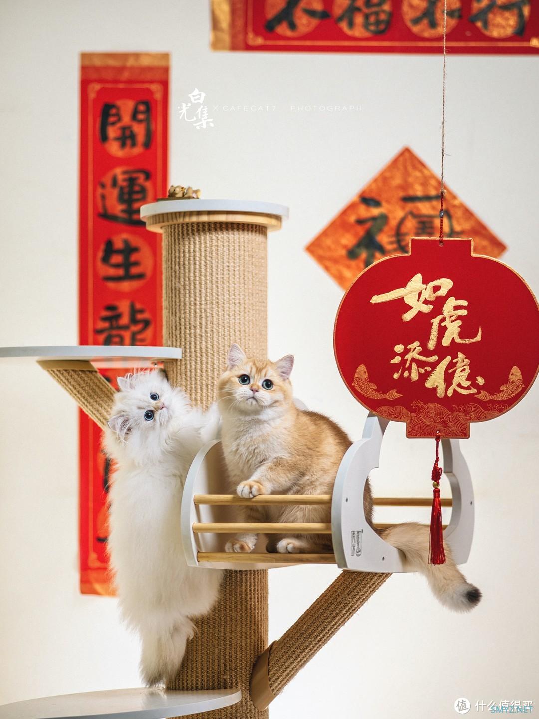 咖啡猫的摄影之路 篇十九：上古中画幅宾得645Z在2022年的今天还能用吗？