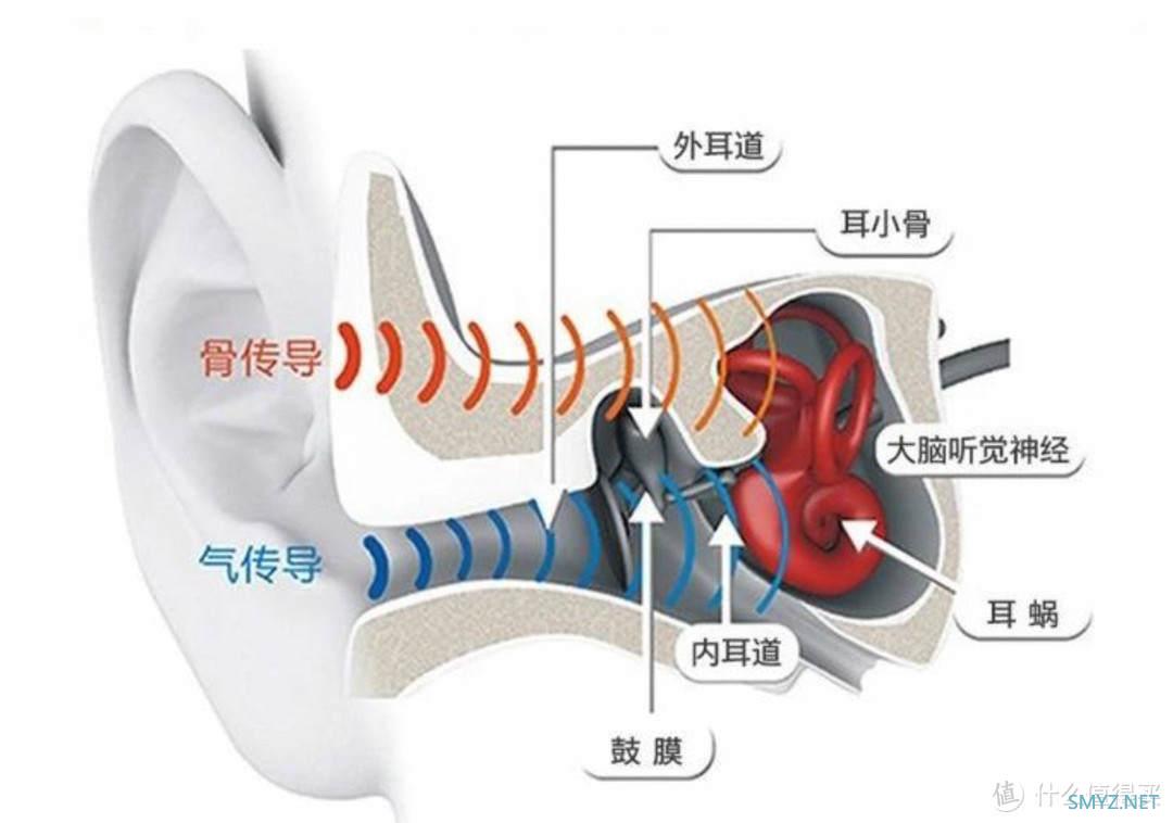 小白听个响 篇十二：运动耳机怎么选？为什么不试试骨传导耳机，iKKO iTG01体验分享