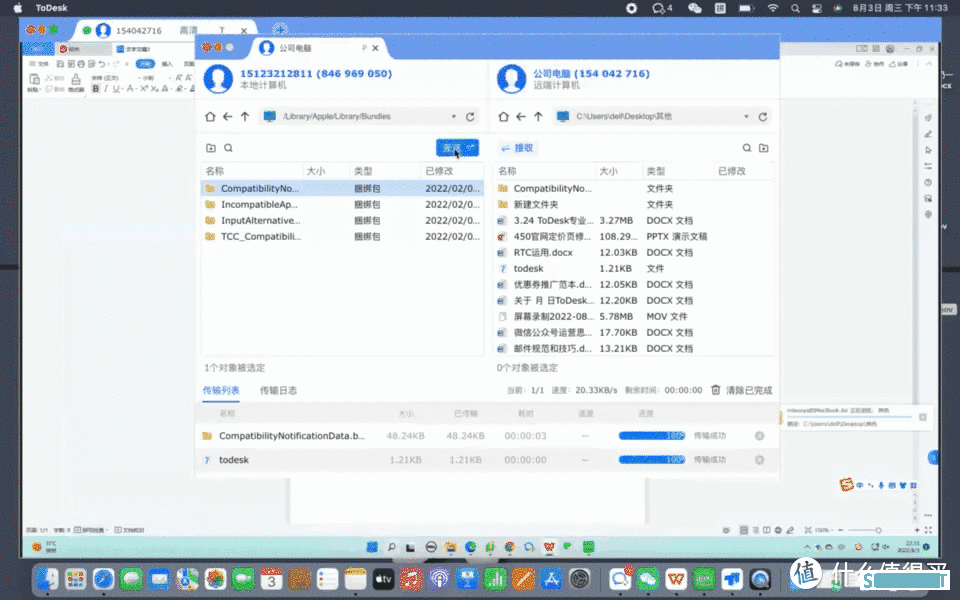 （技术向）ToDesk专业版深度研究，118元带来远控能力提升值吗？