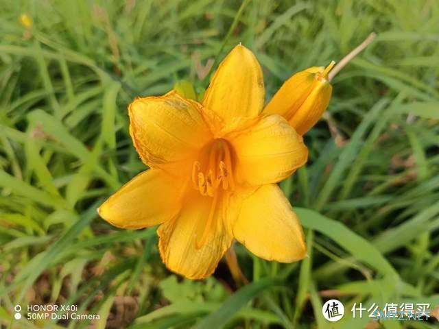 轻薄高颜值,实力均衡的千元机荣耀X40 i评测 轻薄高颜值,实力均衡的千元机荣耀X40 i评测