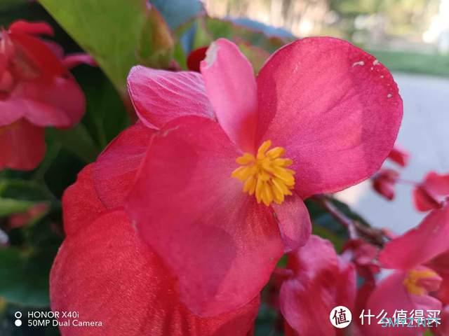 轻薄高颜值,实力均衡的千元机荣耀X40 i评测 轻薄高颜值,实力均衡的千元机荣耀X40 i评测