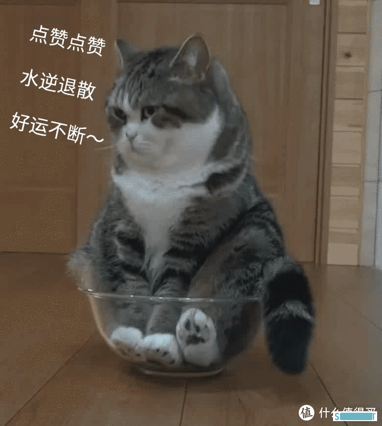 解忧杂货铺 篇二百三十五：为啥？本来想买新手机，最后买了个8寸平板/联想拯救者Y700 8.8英寸骁龙870游戏双X轴线性马达 12G+256G