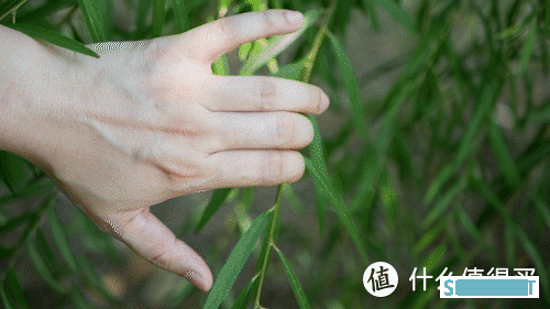 小而全,好用的功能统统给你:iWALK糖果真无线耳机 小而全,好用的功能统统给你:iWALK糖果真无线耳机