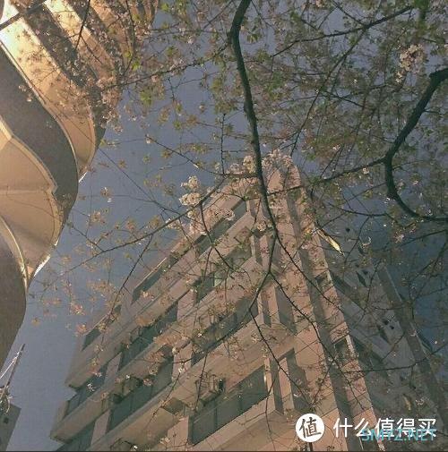 视觉设计在品牌传播中的作用与策略