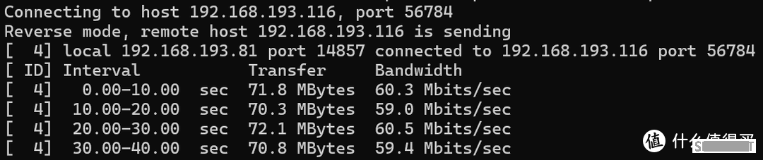 开源&Docker 篇七十八：无公网也能玩转NAS，横向测试三款最火的免费组网工具，国人胜出