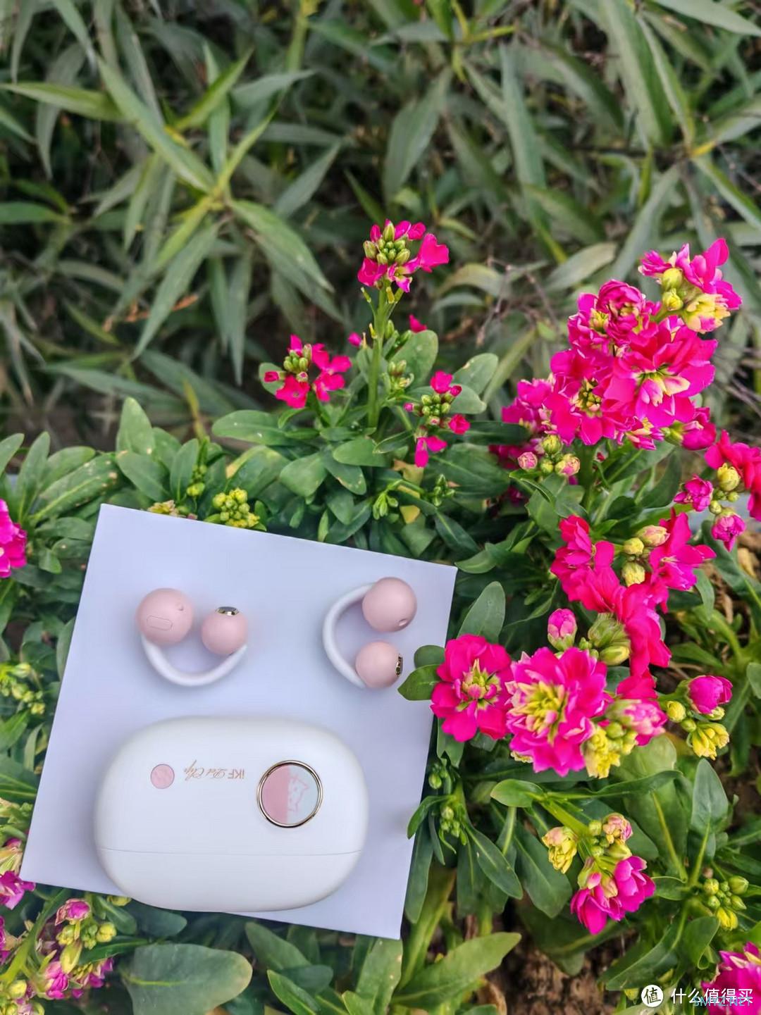 iKF Pet Clip让萌趣与音质齐飞的宝藏耳机